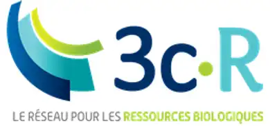 3c-R Logo